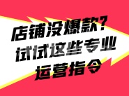 电商店铺优化指令集（商品描述、标题优化、促销策略）